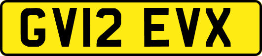 GV12EVX