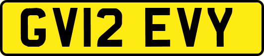 GV12EVY