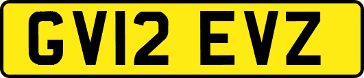 GV12EVZ