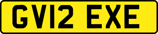 GV12EXE