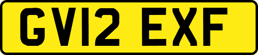 GV12EXF