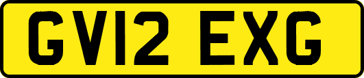 GV12EXG