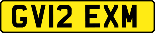 GV12EXM