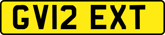 GV12EXT