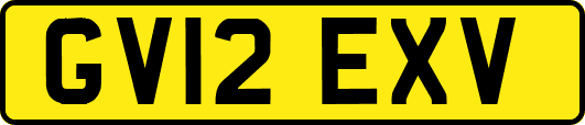 GV12EXV