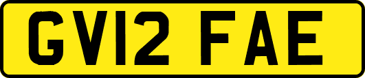 GV12FAE