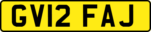 GV12FAJ