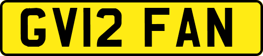GV12FAN