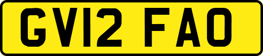 GV12FAO