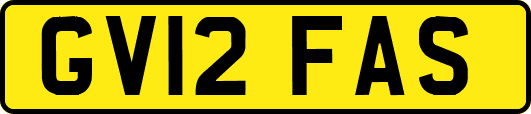 GV12FAS