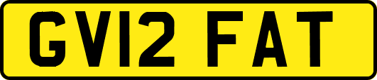GV12FAT