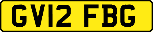 GV12FBG