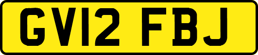 GV12FBJ