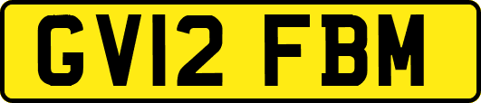 GV12FBM