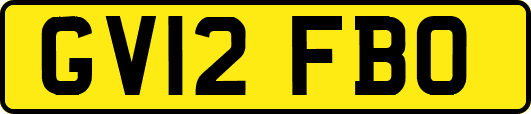 GV12FBO