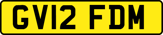 GV12FDM
