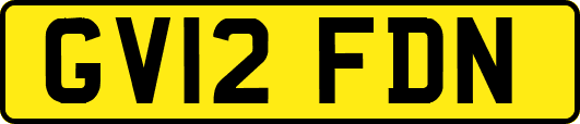 GV12FDN