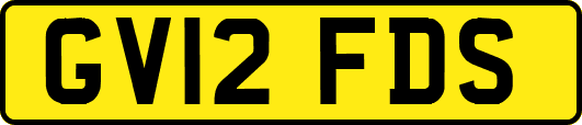 GV12FDS