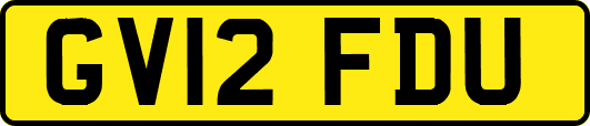 GV12FDU