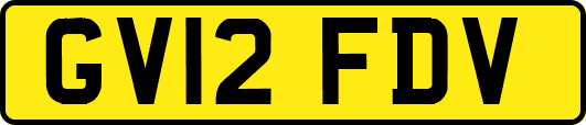 GV12FDV