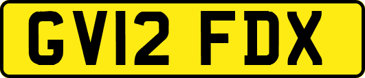 GV12FDX