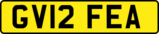 GV12FEA
