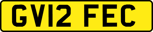 GV12FEC