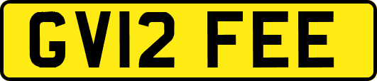 GV12FEE