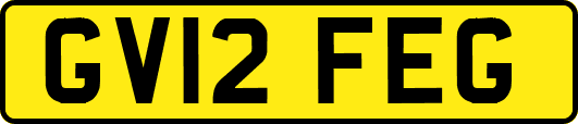 GV12FEG
