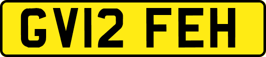 GV12FEH
