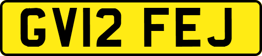 GV12FEJ