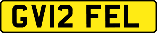 GV12FEL