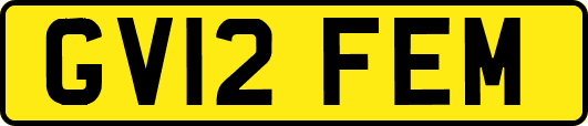 GV12FEM