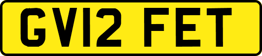 GV12FET