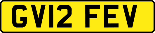 GV12FEV
