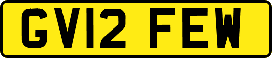 GV12FEW