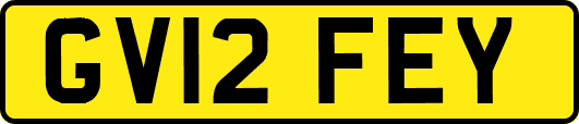 GV12FEY