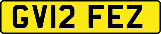 GV12FEZ