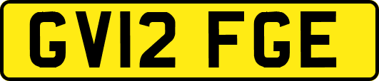 GV12FGE