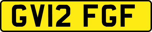 GV12FGF