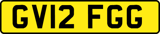 GV12FGG