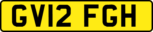 GV12FGH