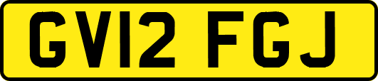 GV12FGJ