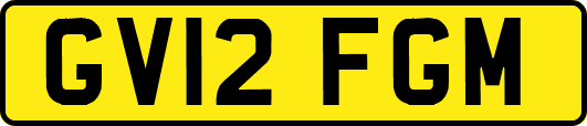 GV12FGM