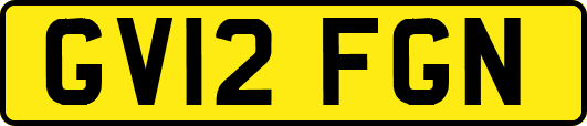 GV12FGN