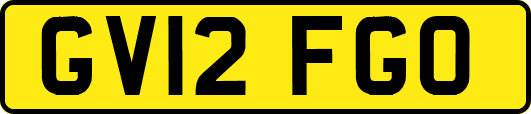 GV12FGO