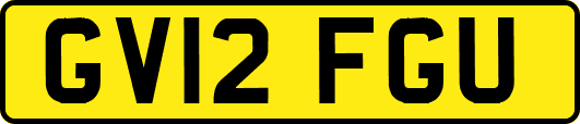 GV12FGU