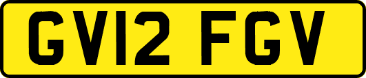GV12FGV