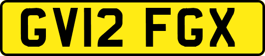 GV12FGX
