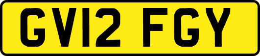 GV12FGY